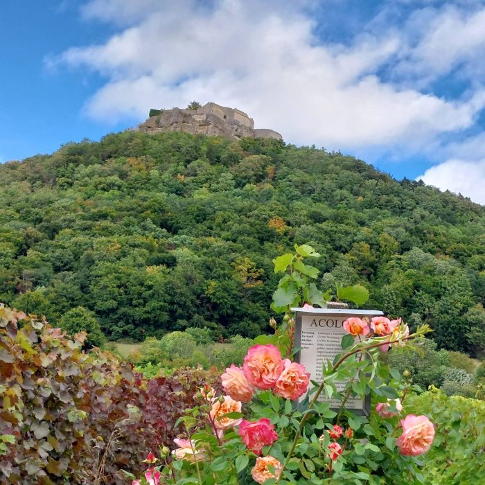 Blick auf die Burg Hohenneuffen - Ferienwohnung Albblick in Neuffen